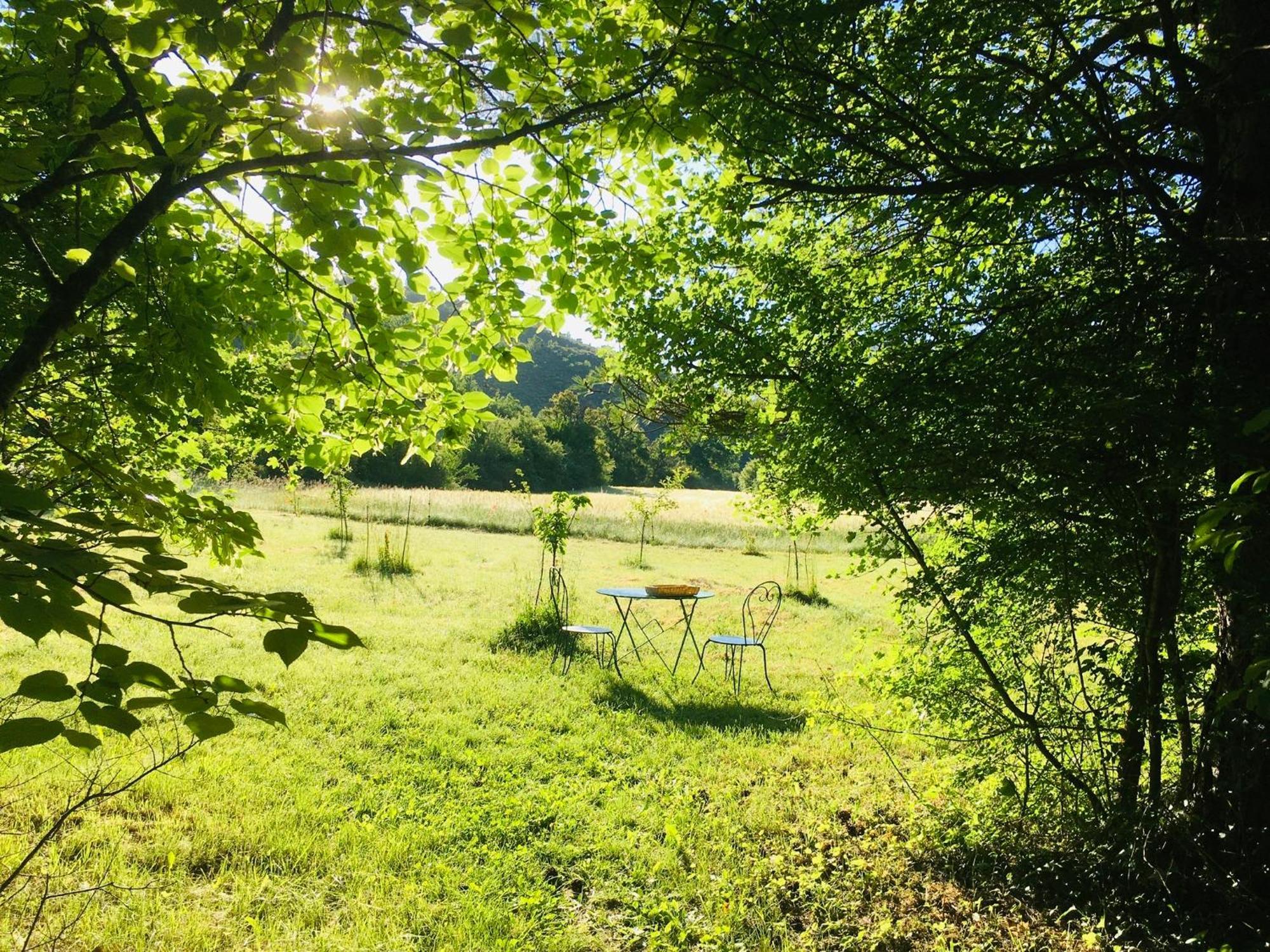 Le Moulin de la Viorne Hotel Les Omergues Eksteriør billede